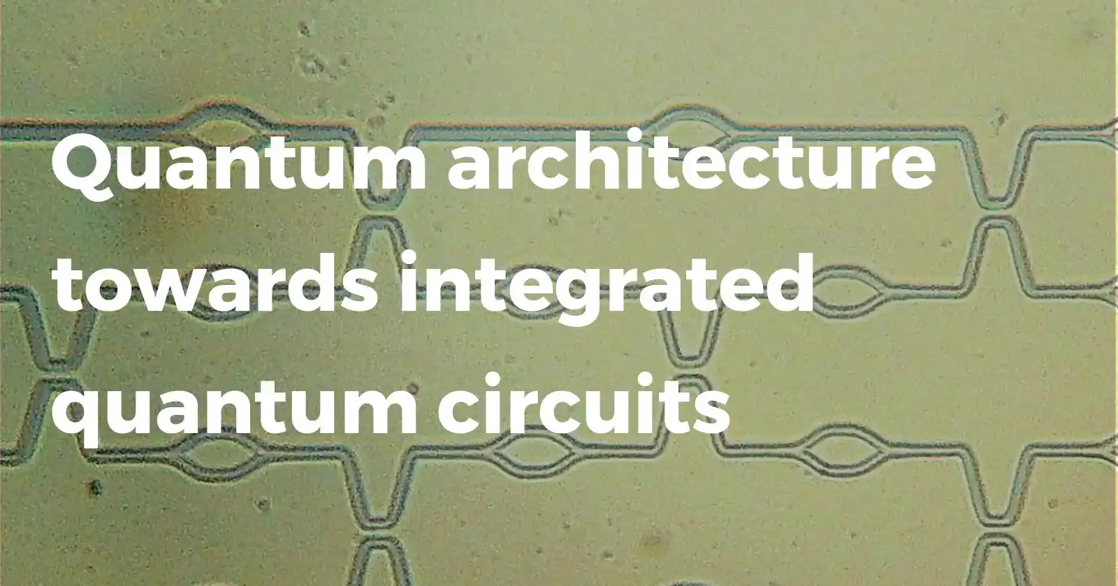 quantum architecture towards integrated quantum circuits