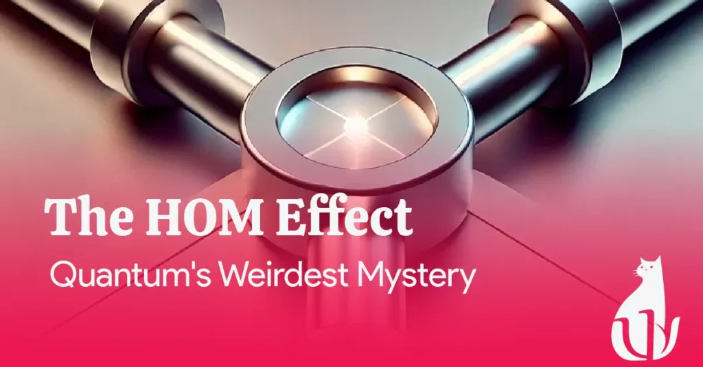 The HOM effect